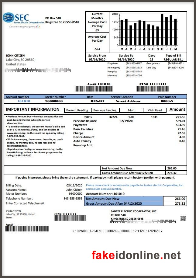 US Utility Bill PSD Template 3 - US Proof of Address (SCEG Bill)